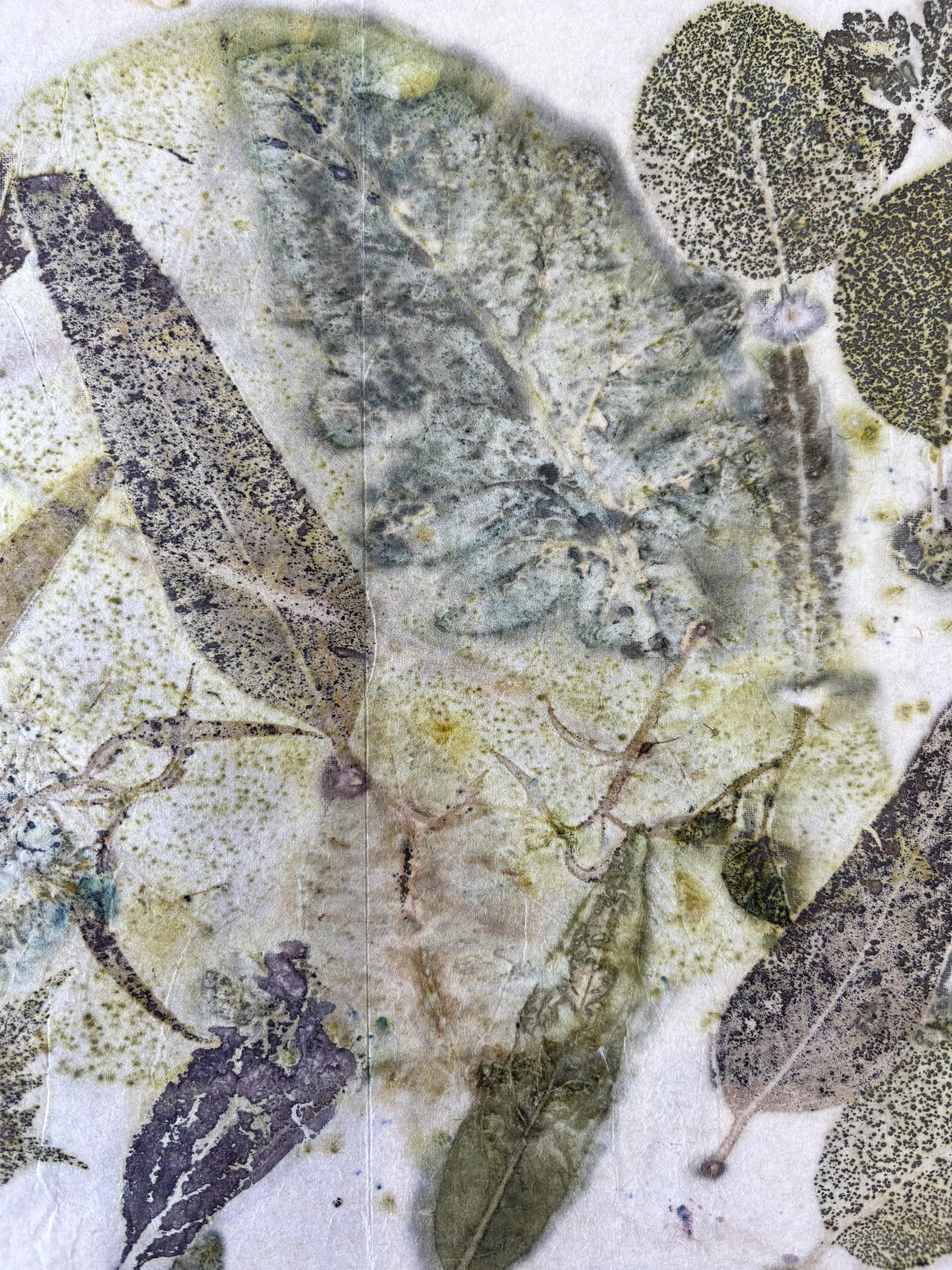 image 7 for Izlou-1