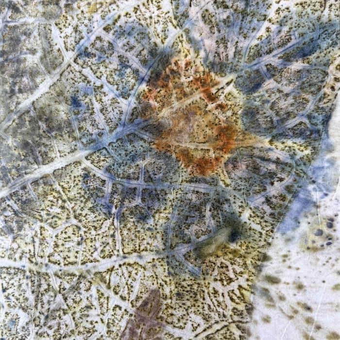 image of Izlou-1