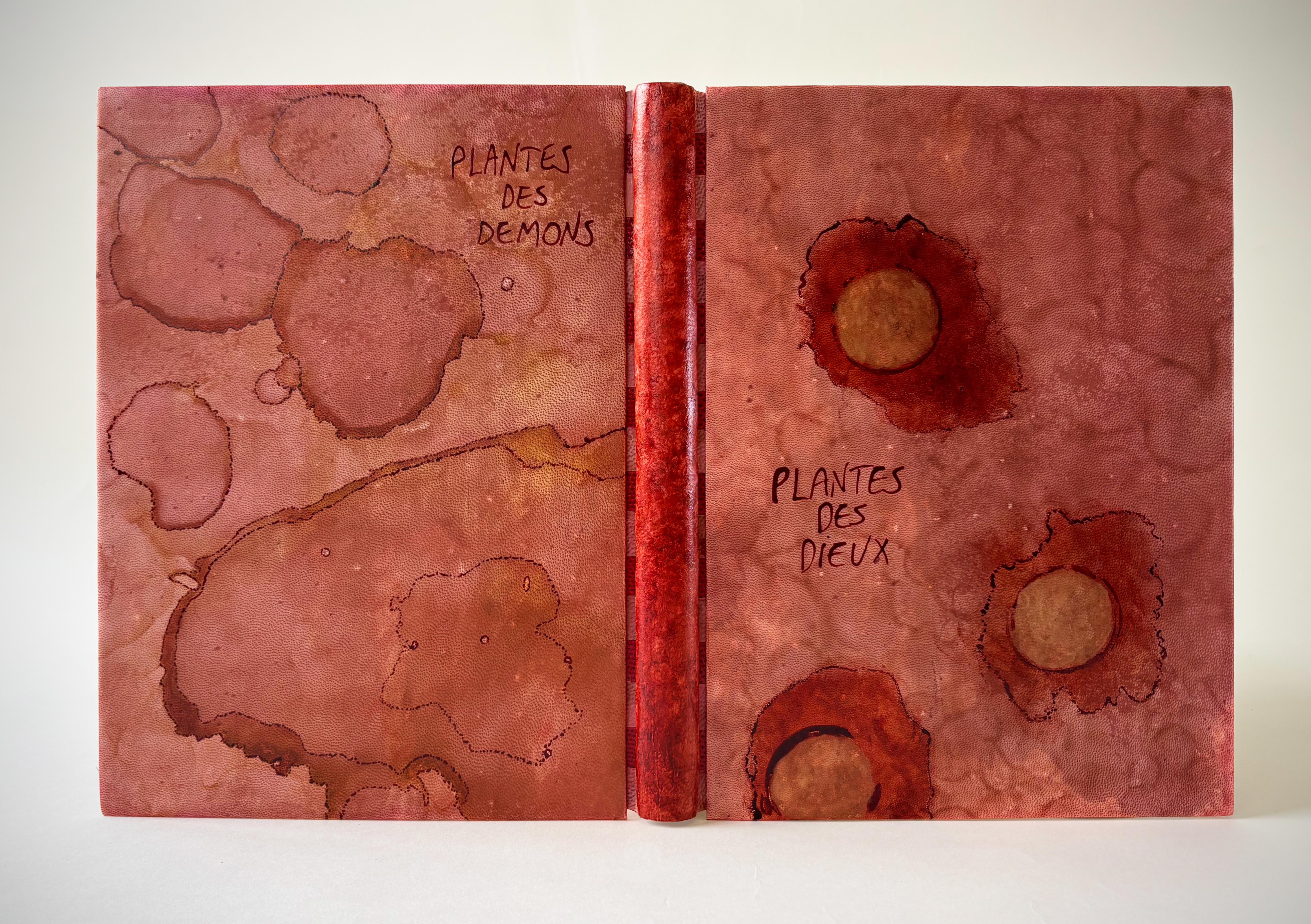 main image for Plantes des Dieux Plantes des Démons