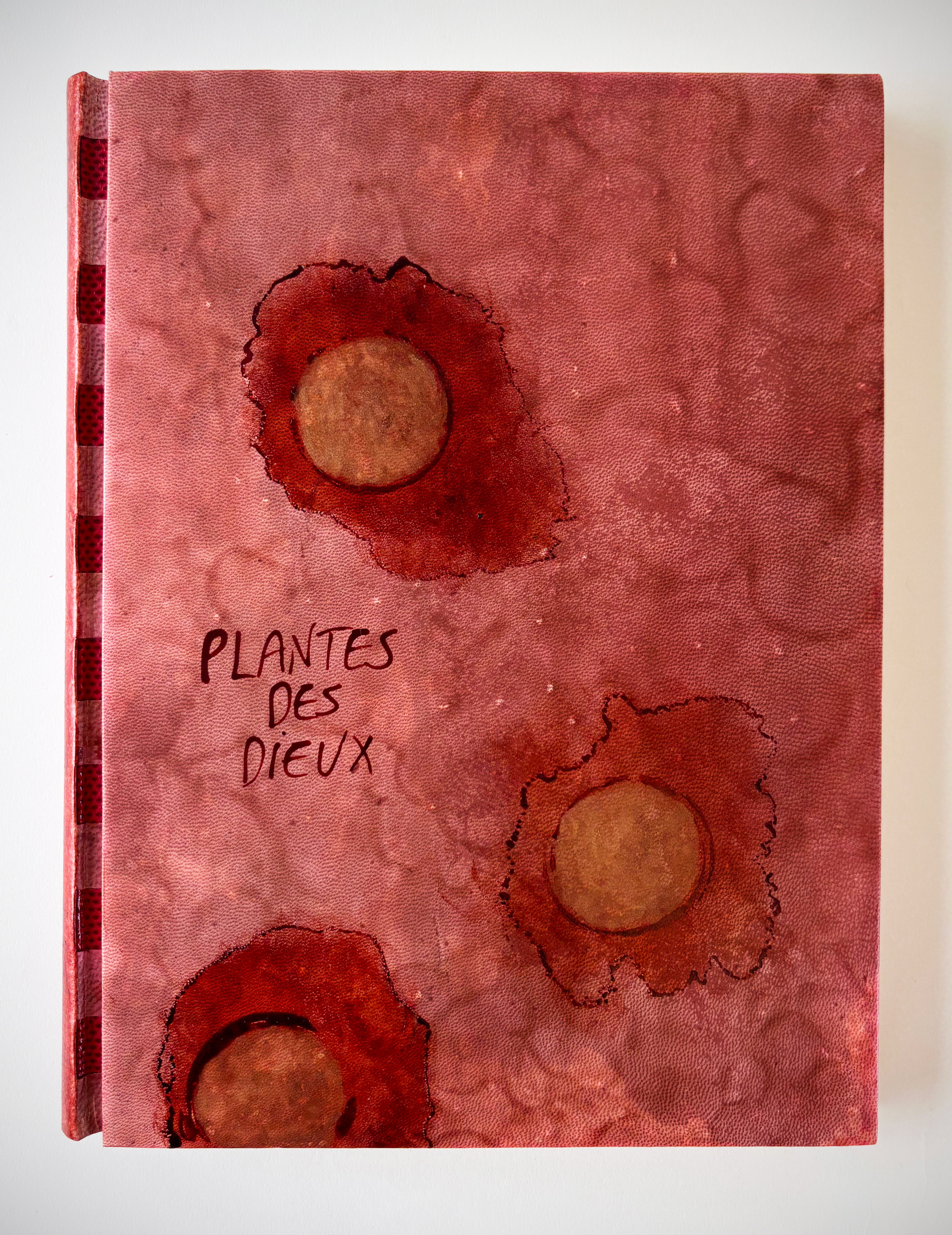 image 2 for Plantes des Dieux Plantes des Démons