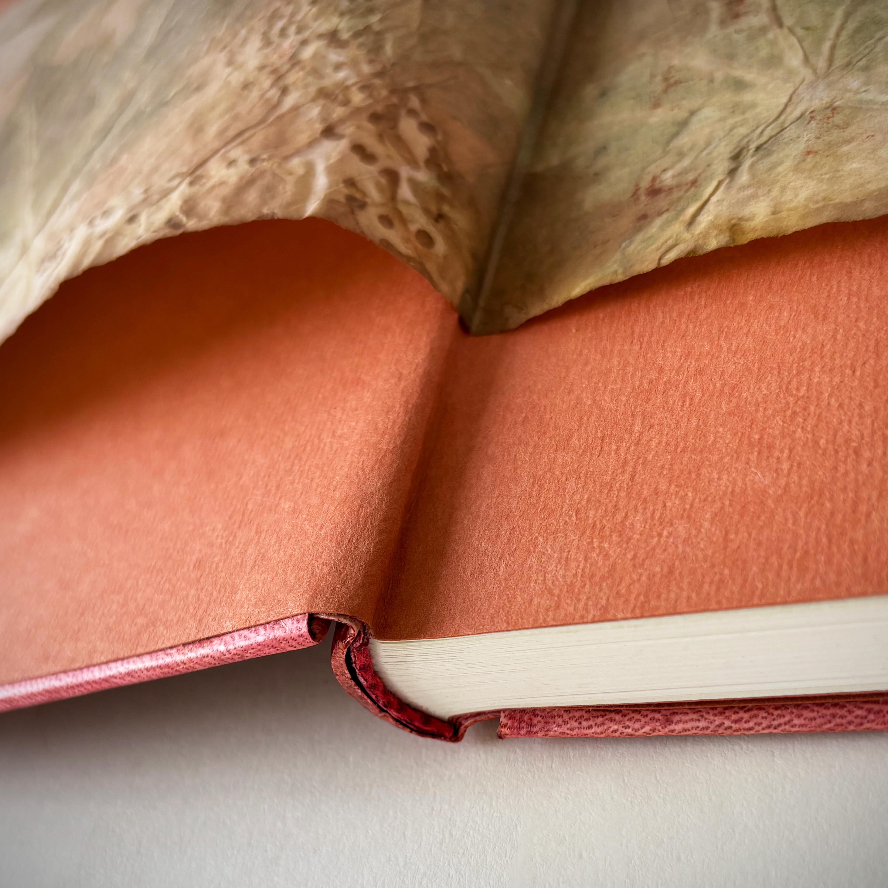 image 6 for Plantes des Dieux Plantes des Démons