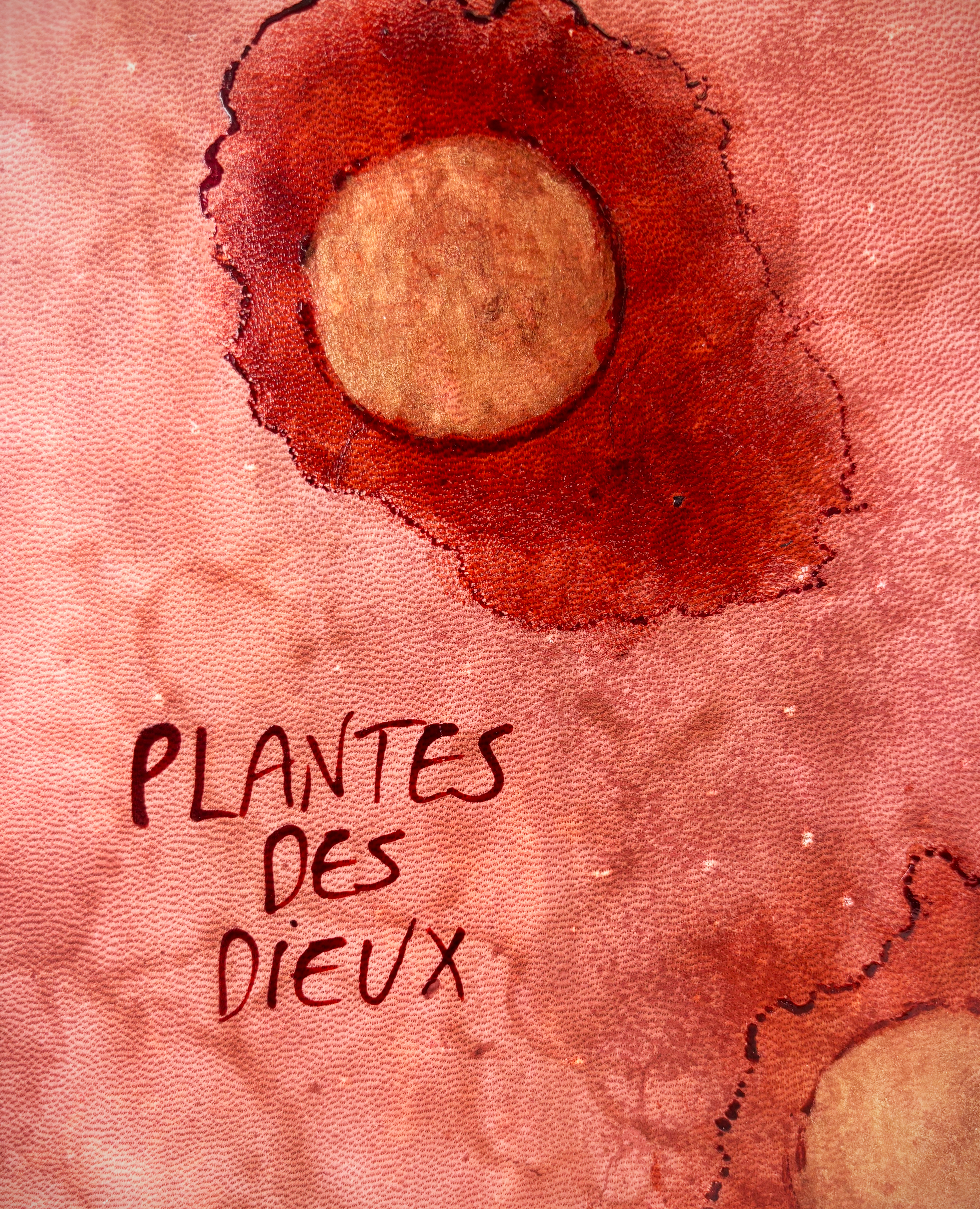 image 3 for Plantes des Dieux Plantes des Démons