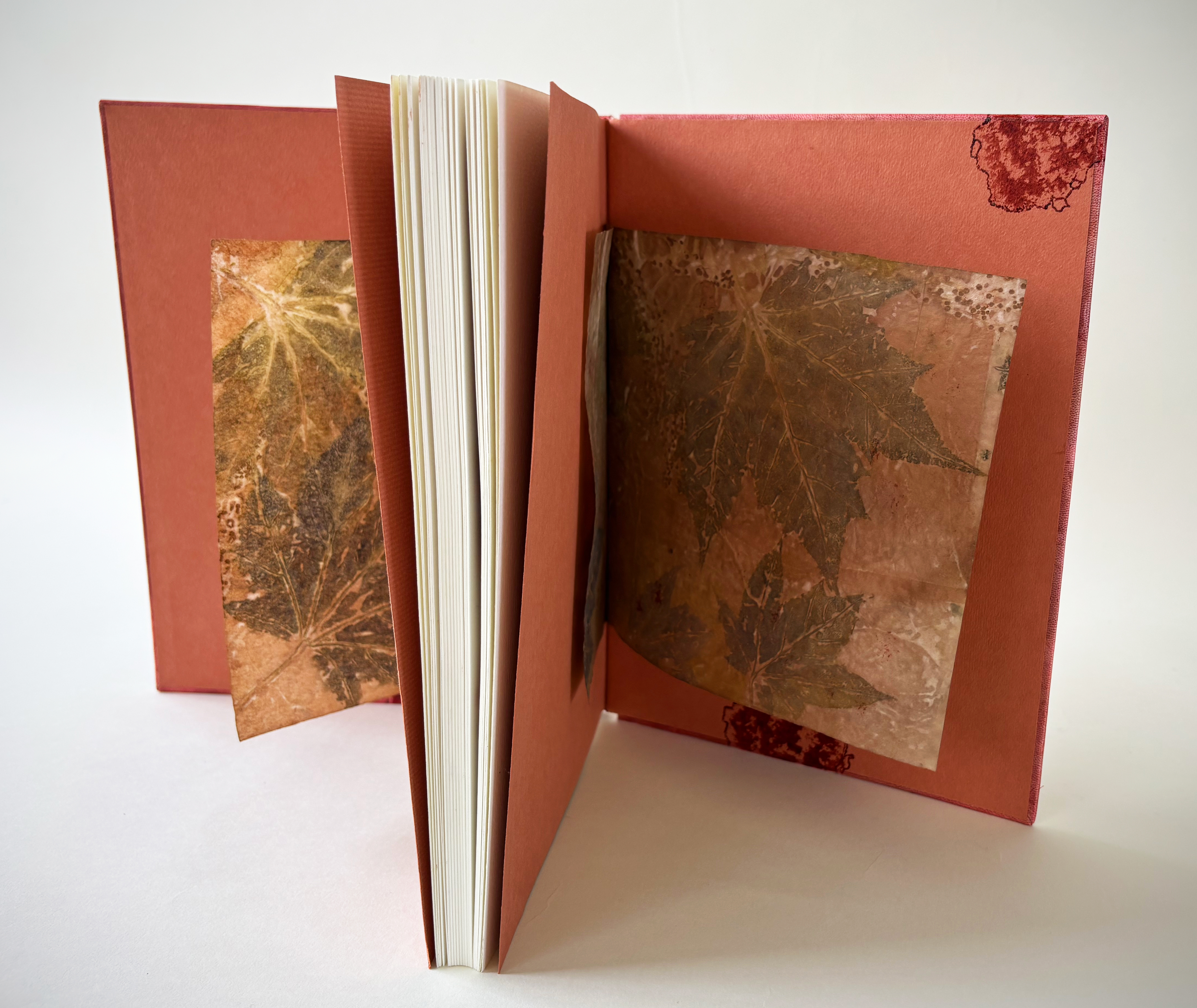 image 4 for Plantes des Dieux Plantes des Démons