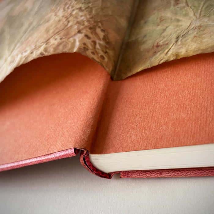 image of Plantes des Dieux Plantes des Démons